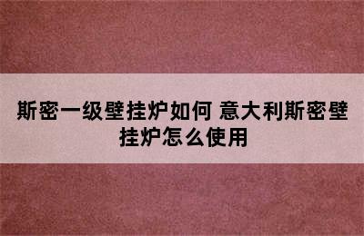 斯密一级壁挂炉如何 意大利斯密壁挂炉怎么使用